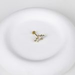 Gold Majestic Crown Stud